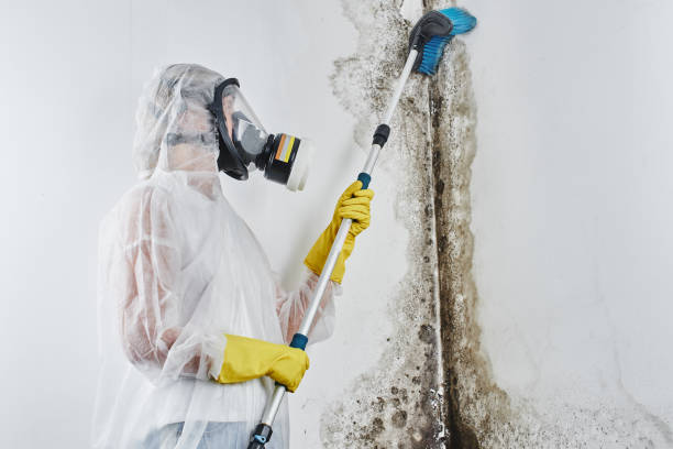 Professional Water damage restoration in Frankfort, OH